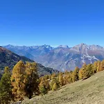 Charming With Balcony * Nendaz