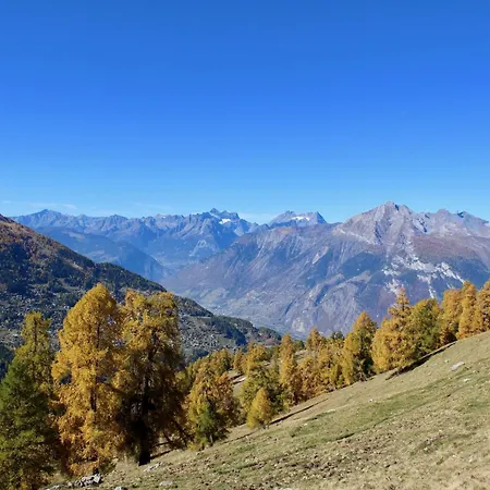 Charming With Balcony * Nendaz